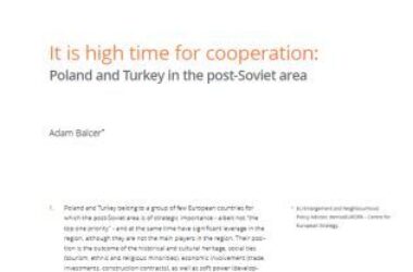 It is high time for cooperation:Poland and Turkey in the post-Soviet area