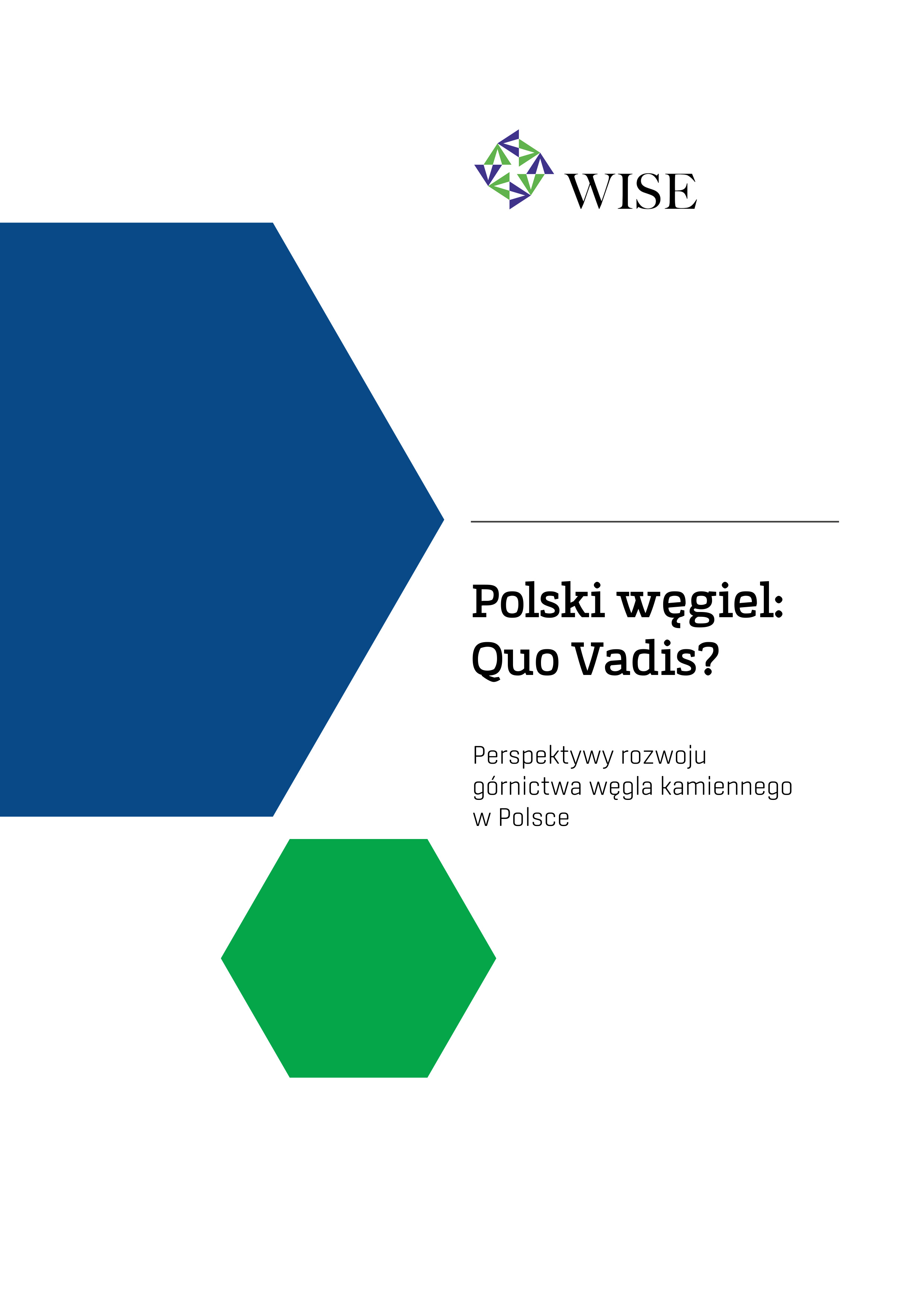 wegiel_raport_15_06_elektroniczny-1