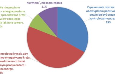 ENERGETYCZNE POLAKÓW WYBORY: Niewidzialna ręka państwa