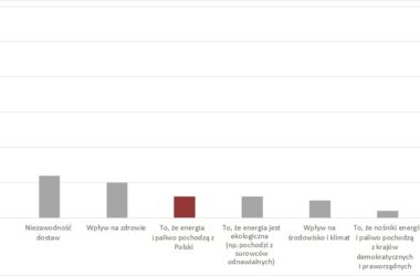 ENERGETYCZNE POLAKÓW WYBORY: Unia Energetyczna a prąd biało-czerwony