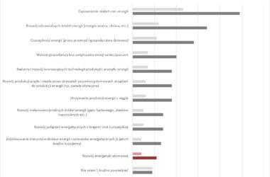 ENERGETYCZNE POLAKÓW WYBORY: atom bez szans?