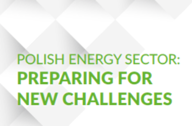 Polish energy sector: Preparing for new challenges.