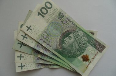 How the Poles are saving