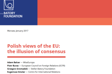 Poles and the EU: the illusion of consensus