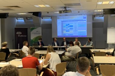 Perspektywa 2050: długoterminowa strategia klimatyczna