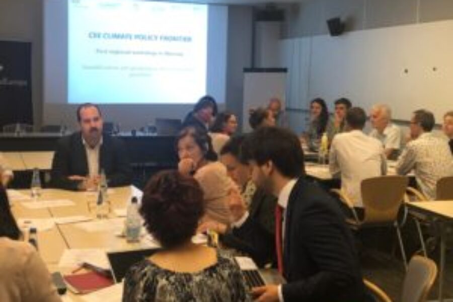 CEE Climate Policy Frontier. Summary of the regional stakeholder workshop in Warsaw