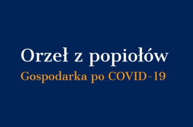Jak wyprowadzić gospodarkę Polski na prostą po epidemii COVID-19? – raport