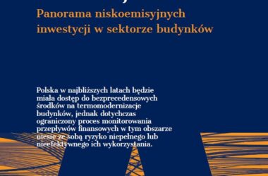 Renowacja po polsku! Raport o niskoemisyjnych inwestycjach w sektorze budynków