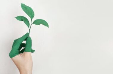 Panorama niskoemisyjnych inwestycji: od globalnego wspierania odbudowy po kryzysie do obecnych postępów w Europie Środkowo-Wschodniej. Podsumowujący webinar projektu