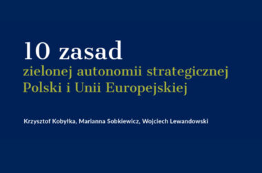 10 zasad zielonej autonomii strategicznej Polski i Unii Europejskiej