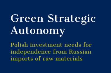 Report: GREEN STRATEGIC AUTONOMY