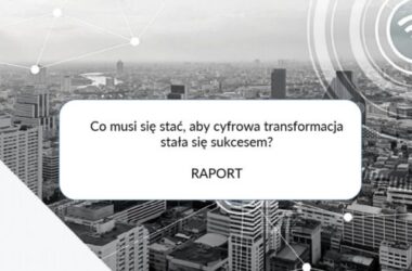 Powszechny dostęp do Internetu / Plan odbudowy gospodarki [RAPORT]