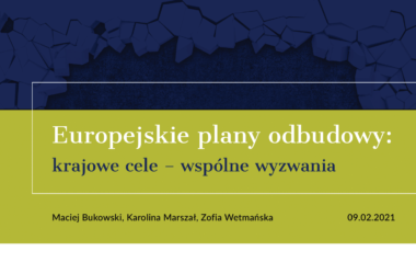 Europejskie plany odbudowy: krajowe cele – wspólne wyzwania