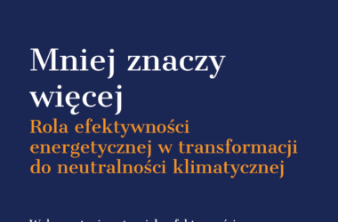 Policy brief: MNIEJ ZNACZY WIĘCEJ