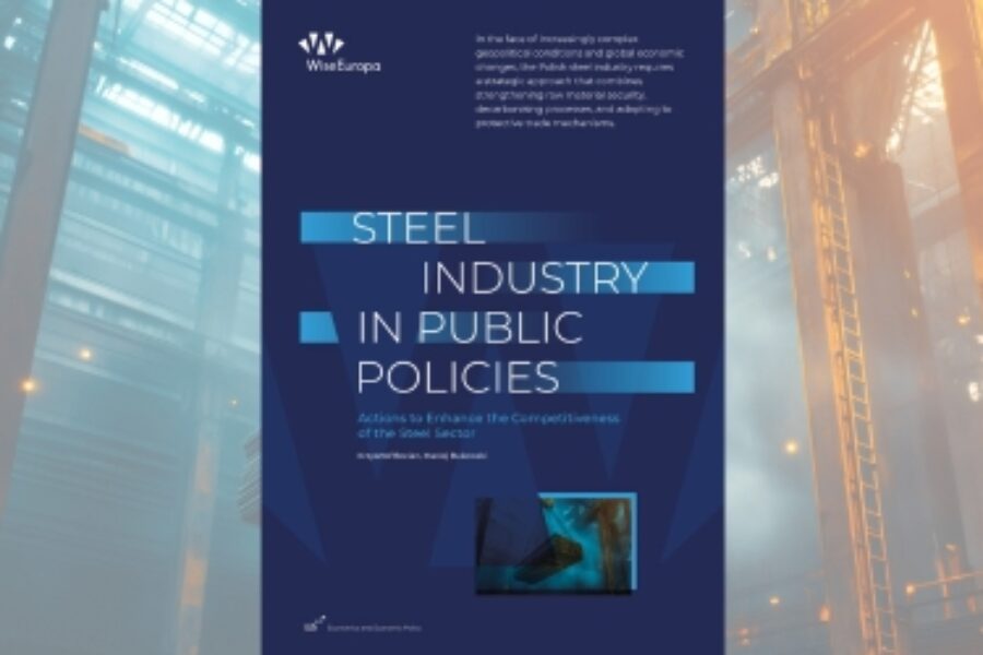 Report: STEEL INDUSTRY IN PUBLIC POLICIES